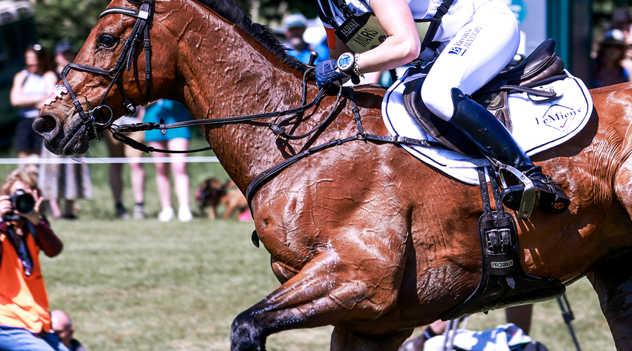 Everything you need to know about electrolytes